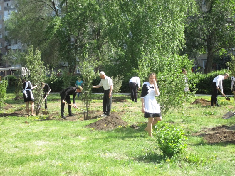 Выпускники сажают яблоневый сад