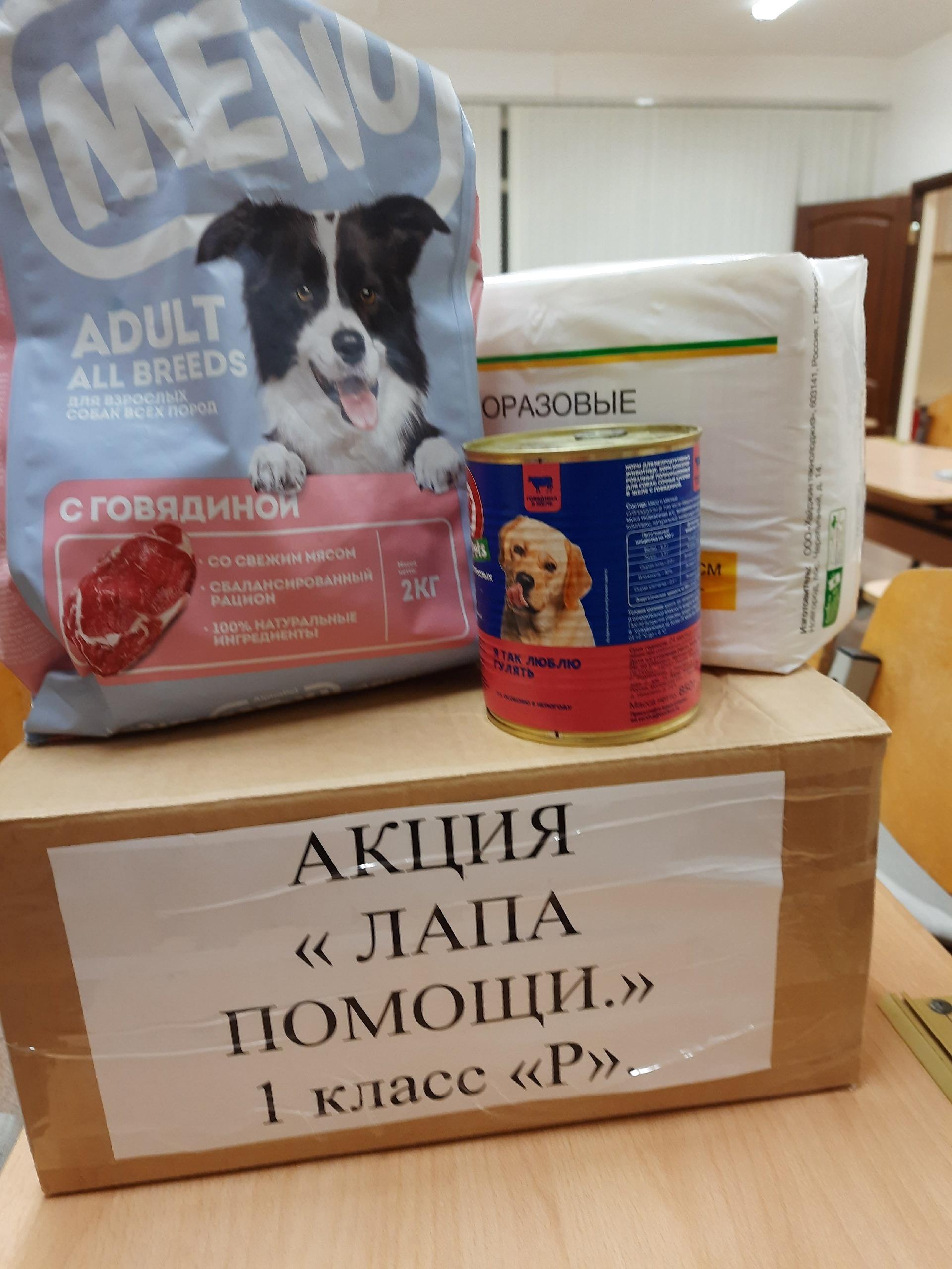 Акция &amp;quot;Лапа помощи&amp;quot;.