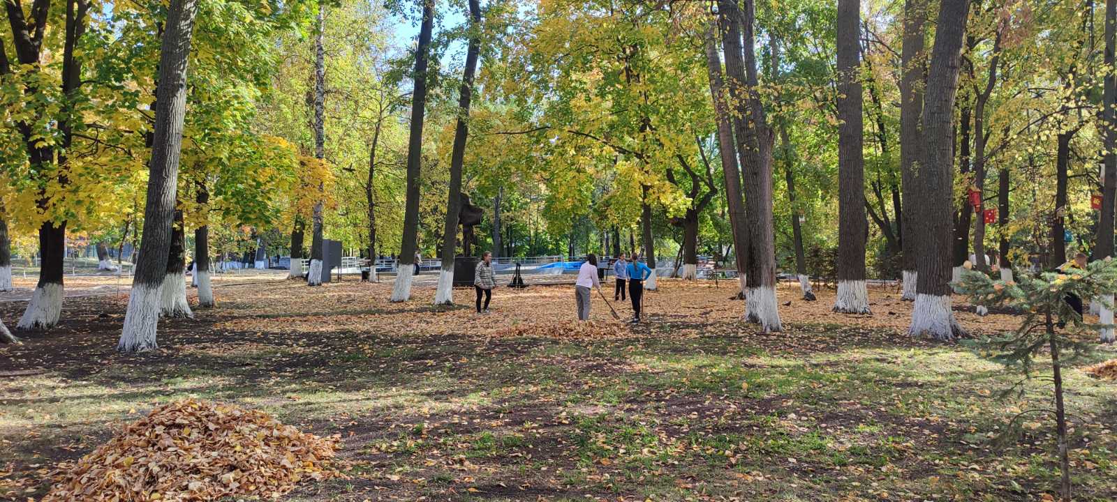 Всемирный день чистоты.