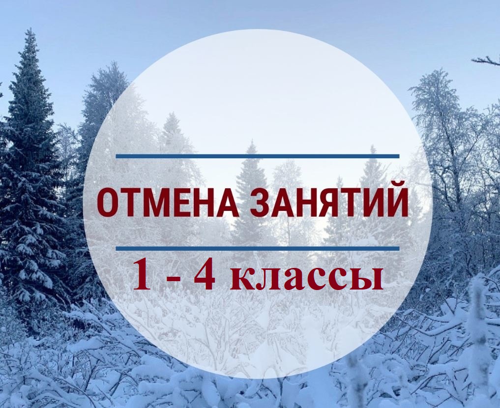 Отмена занятий 1-4 классы на 12.01.2024 года.