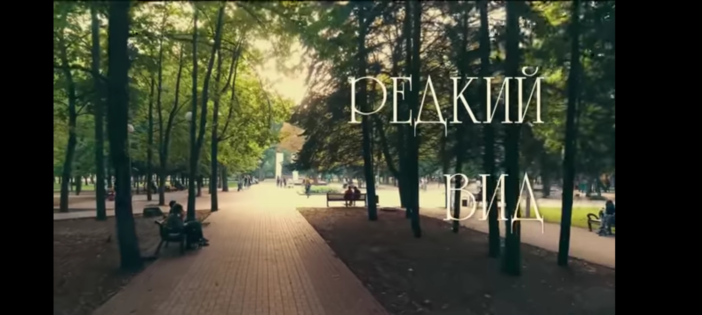 Редкий вид.