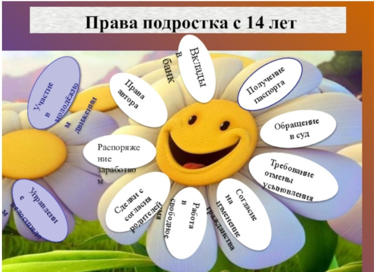 Мои права и обязанности с 14 лет.