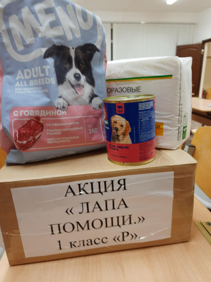 Акция "Лапа помощи".
